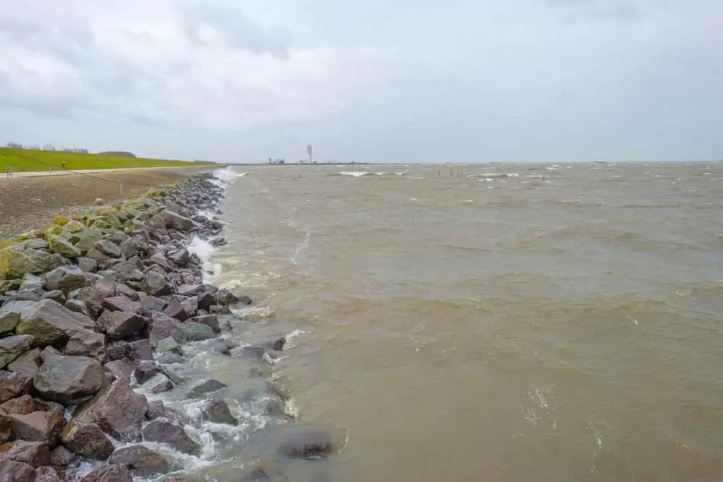 How Much Wind is Too Much for Fishing 