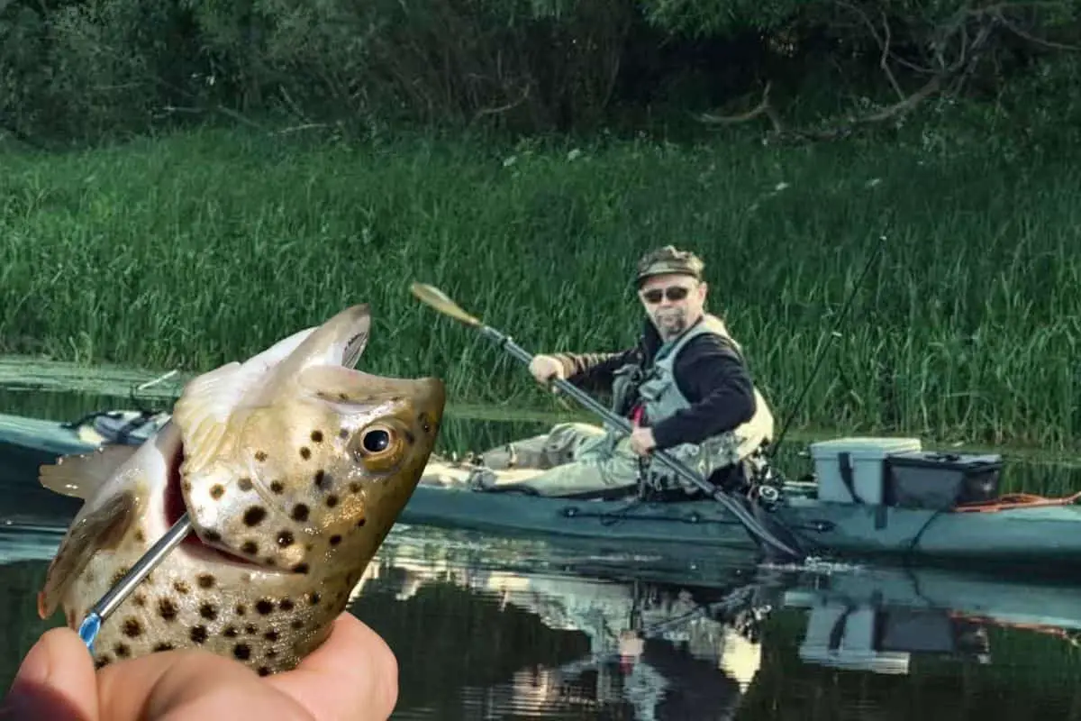 Photo of a trout being placed on a stringer kayak fishing